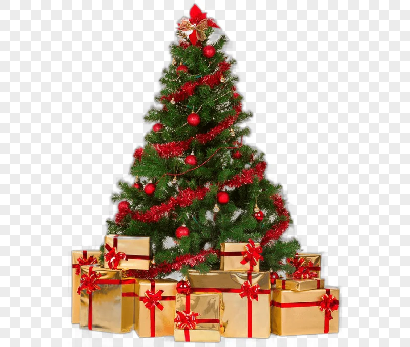 png clipart artificial christmas tree christmas decoration christmas ornament christmas tree holidays decor