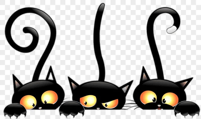 png clipart black cat halloween witch cat mammal animals