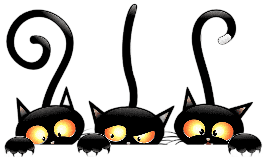 png clipart black cat halloween witch cat mammal animals
