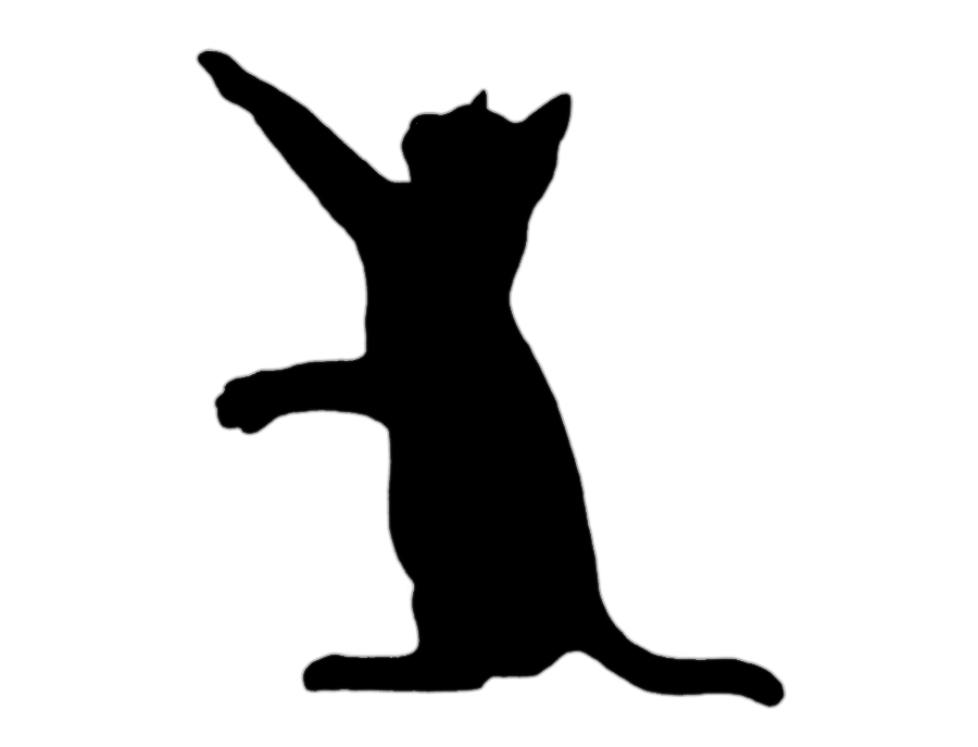 png clipart black cat kitten silhouette cat mammal cat like mammal