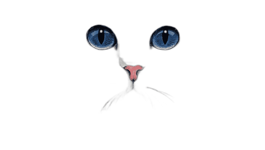 png clipart british shorthair kitten dog tabby cat hand painted cat blue eyed cat illustration watercolor painting blue