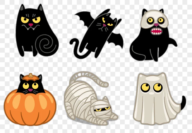 png clipart cat halloween icon halloween cat happy halloween holidays