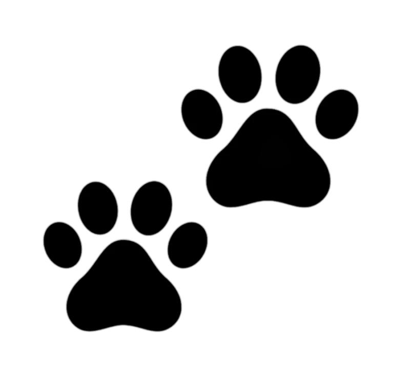 png clipart cat paw dog cat animals paw