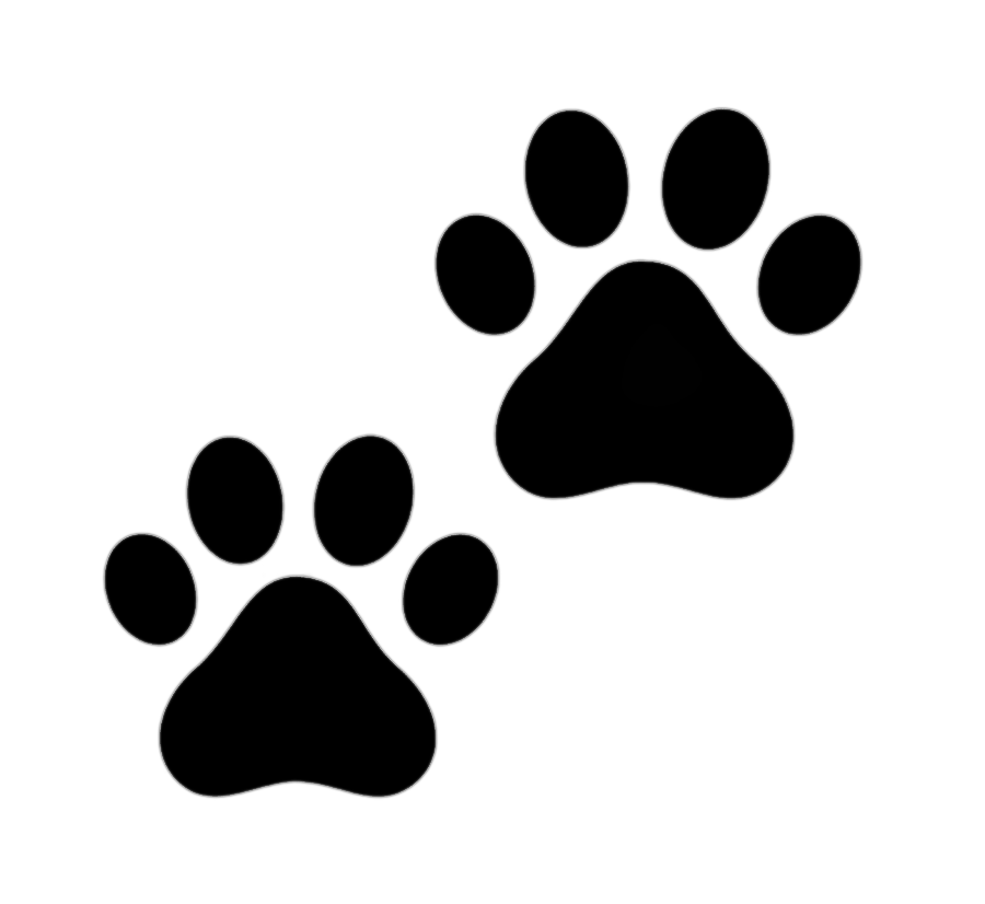 png clipart cat paw dog cat animals paw