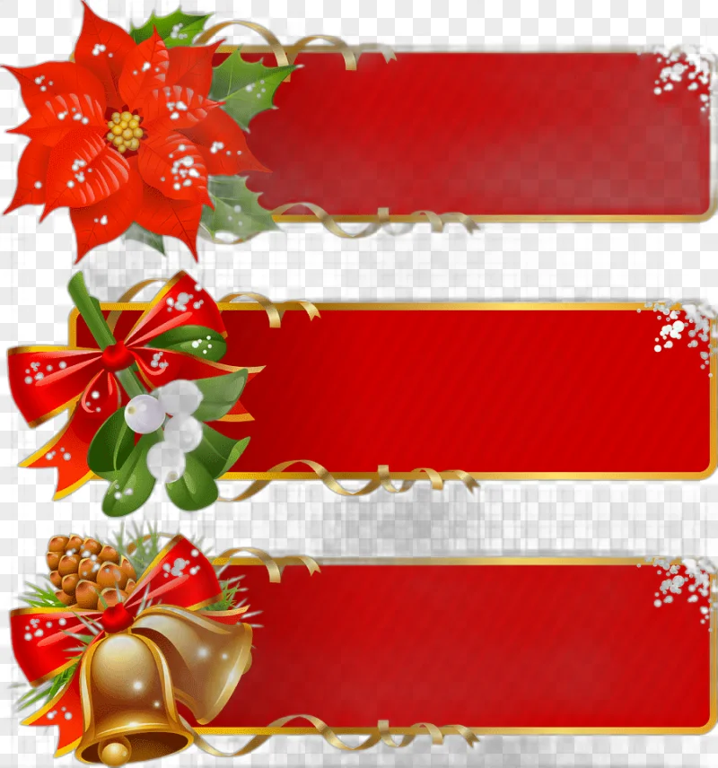 png clipart christmas christmas card border flower arranging