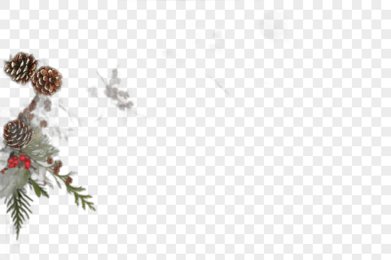 png clipart christmas decoration christmas decoration christmas decorations