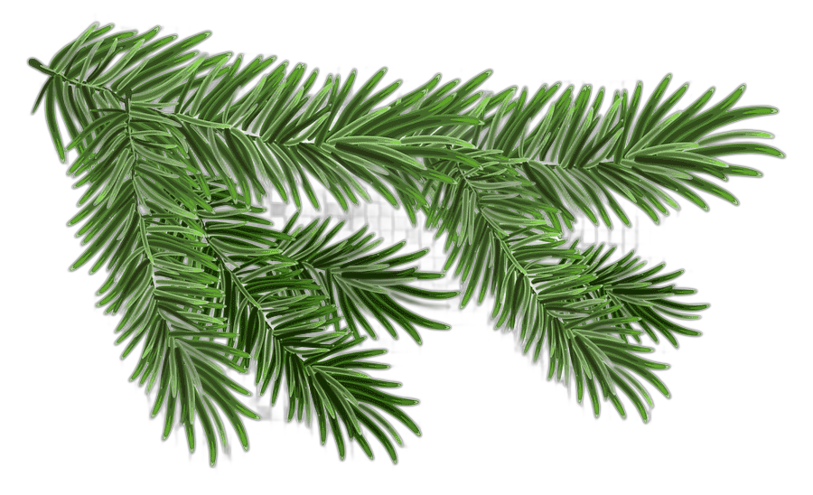 png clipart christmas resource green christmas tree leaf