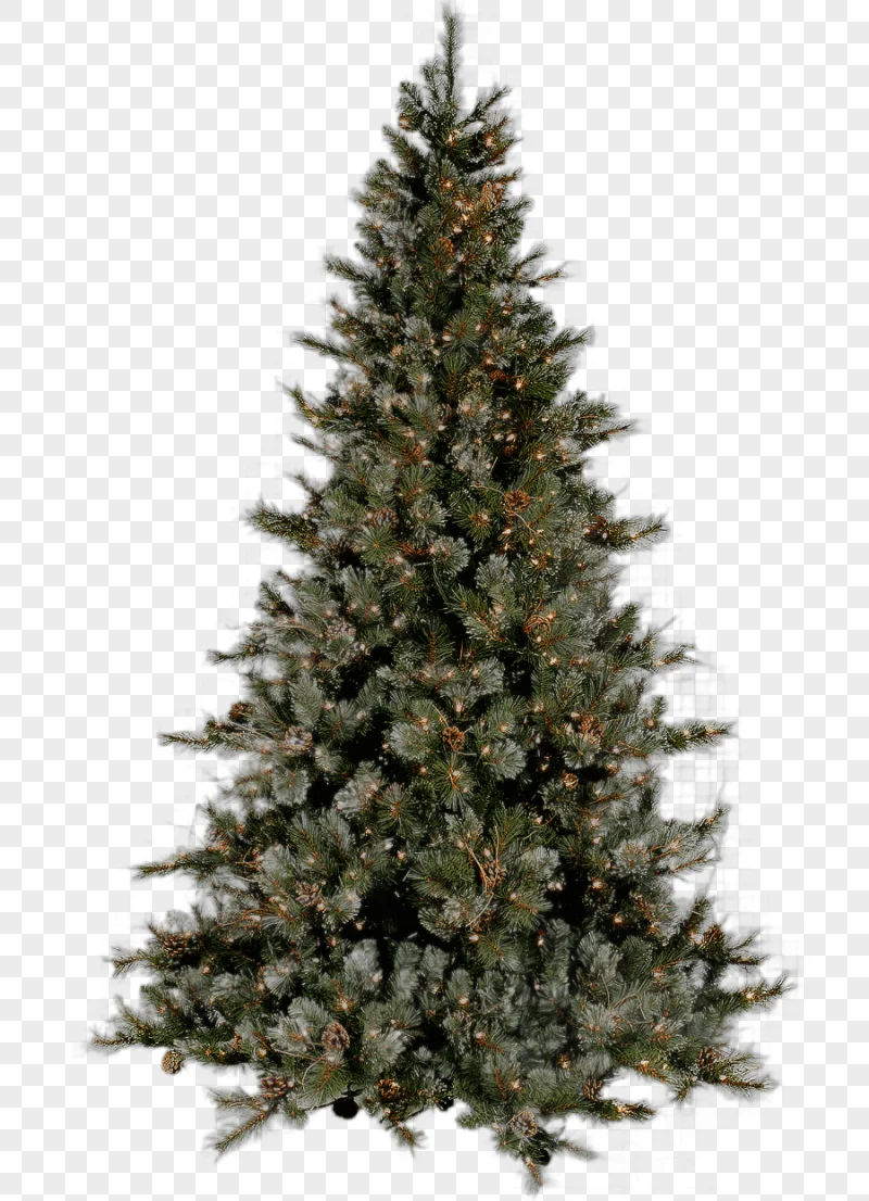 png clipart green pre lit christmas tree illustration christmas tree christmas ornament a christmas tree holidays palm tree