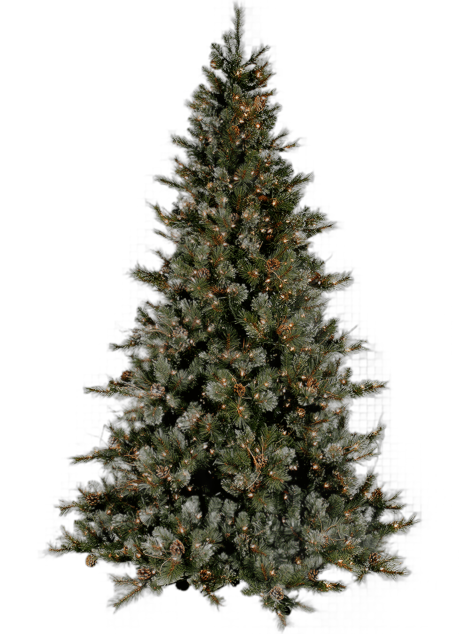 png clipart green pre lit christmas tree illustration christmas tree christmas ornament a christmas tree holidays palm tree