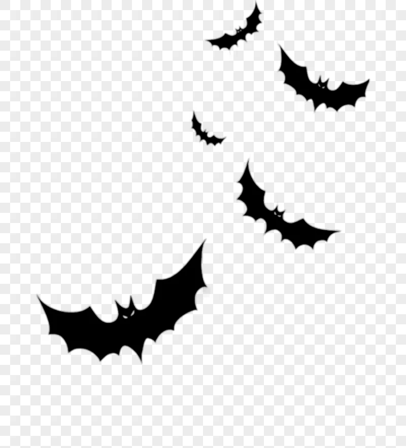 png clipart halloween halloween bat