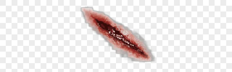 png clipart halloween o2