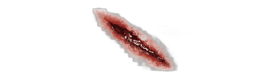 png clipart halloween o2