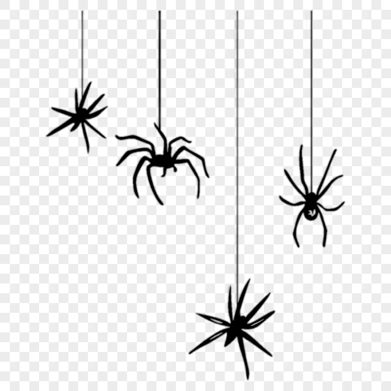 png clipart spider web halloween spider monochrome insects
