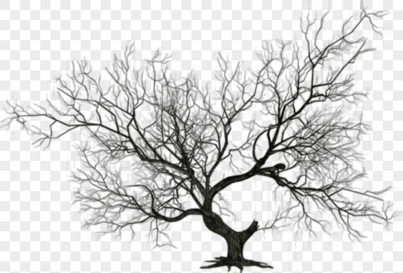 png clipart the halloween tree halloween trees s winter leaf