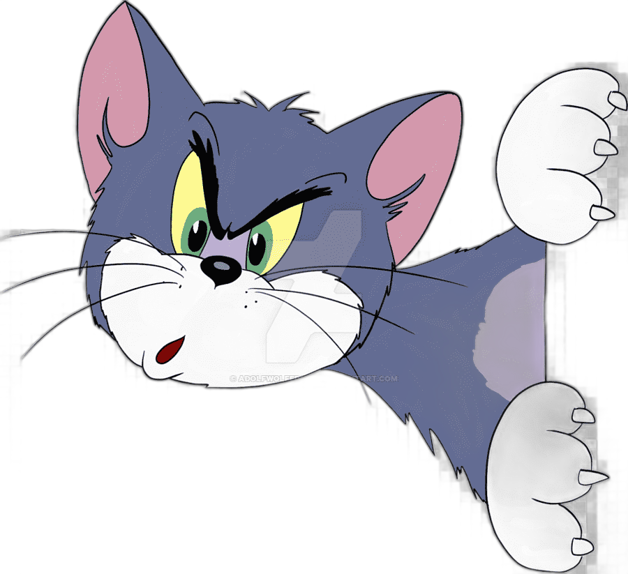 png clipart tom cat tom and jerry cat mammal animals