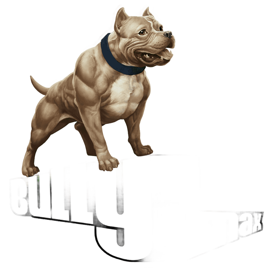 png clipart american bully american pit bull terrier american bulldog bull mammal animals
