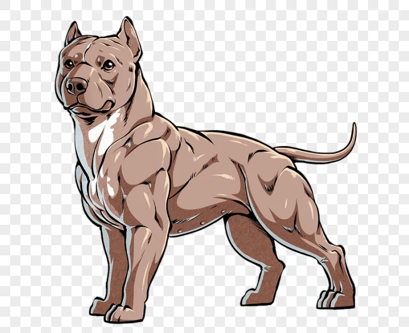 png clipart american bully illustration american pit bull terrier american staffordshire t