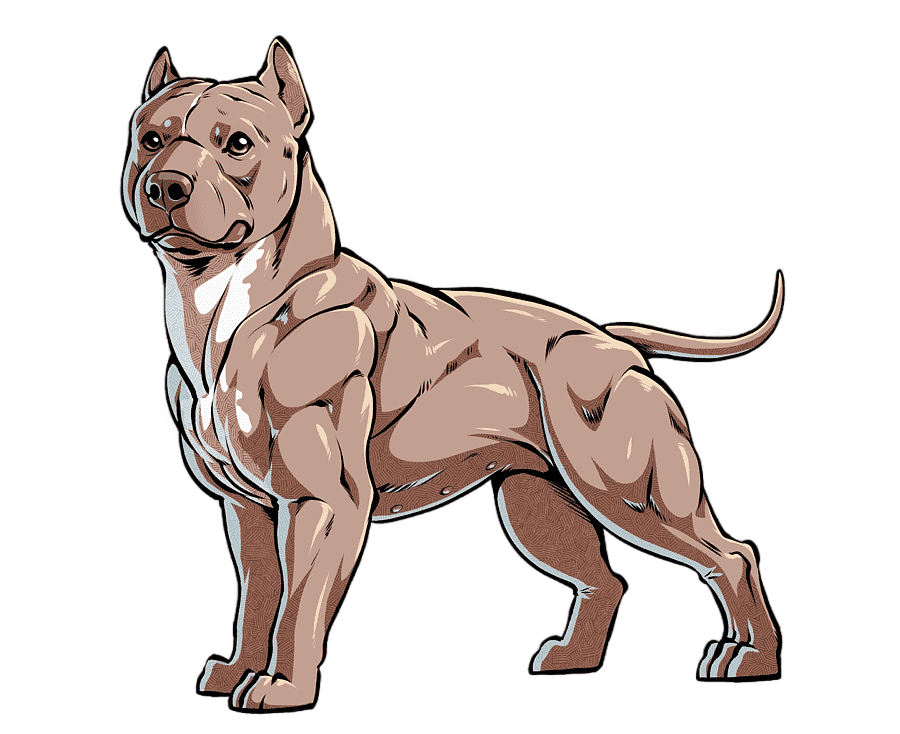 png clipart american bully illustration american pit bull terrier american staffordshire t