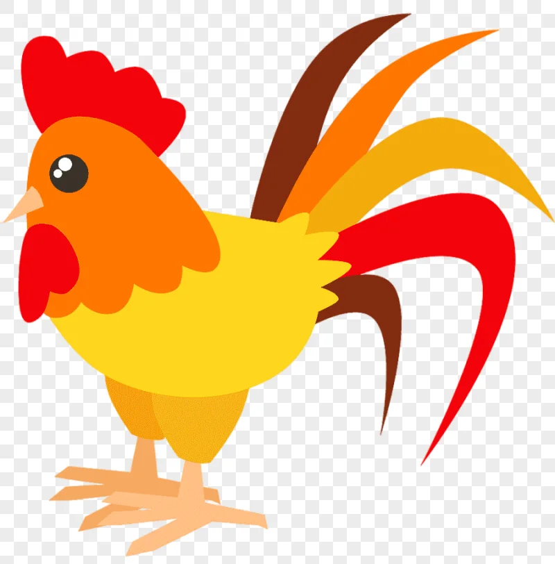 png clipart animal chicken farm miscellaneous galliformes