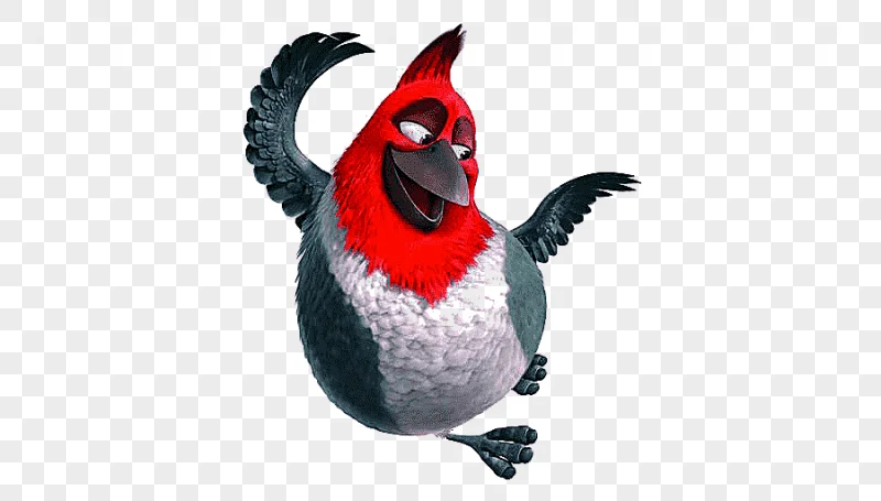 png clipart animated film computer icons animated cartoon rio others fauna bird