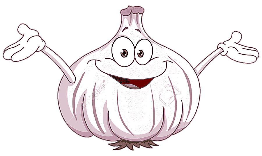 png clipart animation cartoon garlic mammal food