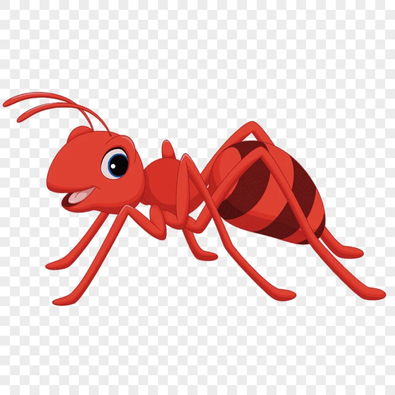 png clipart ant cartoon red ants photography insects