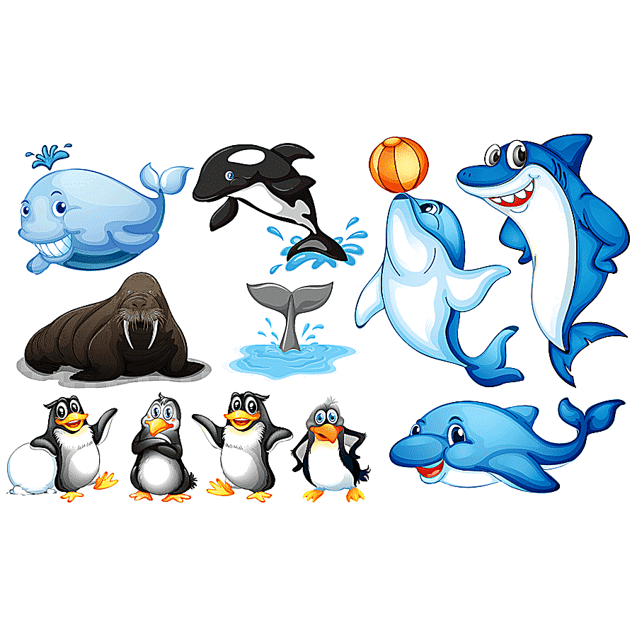 png clipart aquatic animal sea illustration cartoon penguins and other animals cartoon cha