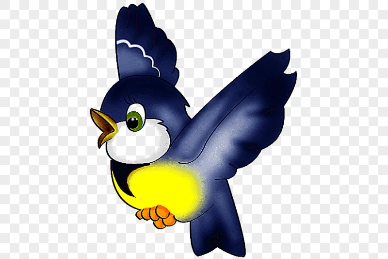 png clipart bird animation bird cartoon animals vertebrate