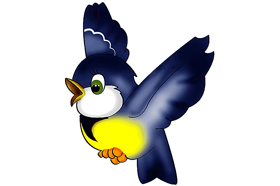 png clipart bird animation bird cartoon animals vertebrate