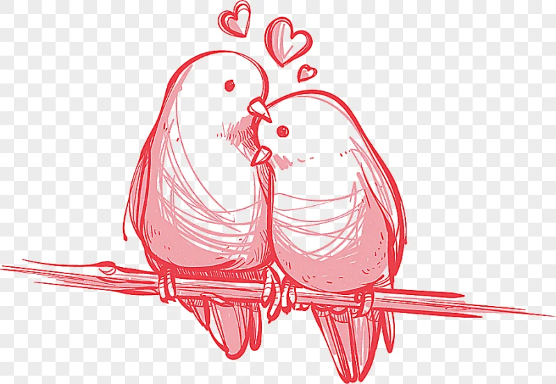 png clipart bird valentine s day wedding gift love birds hand painted two bird perched on