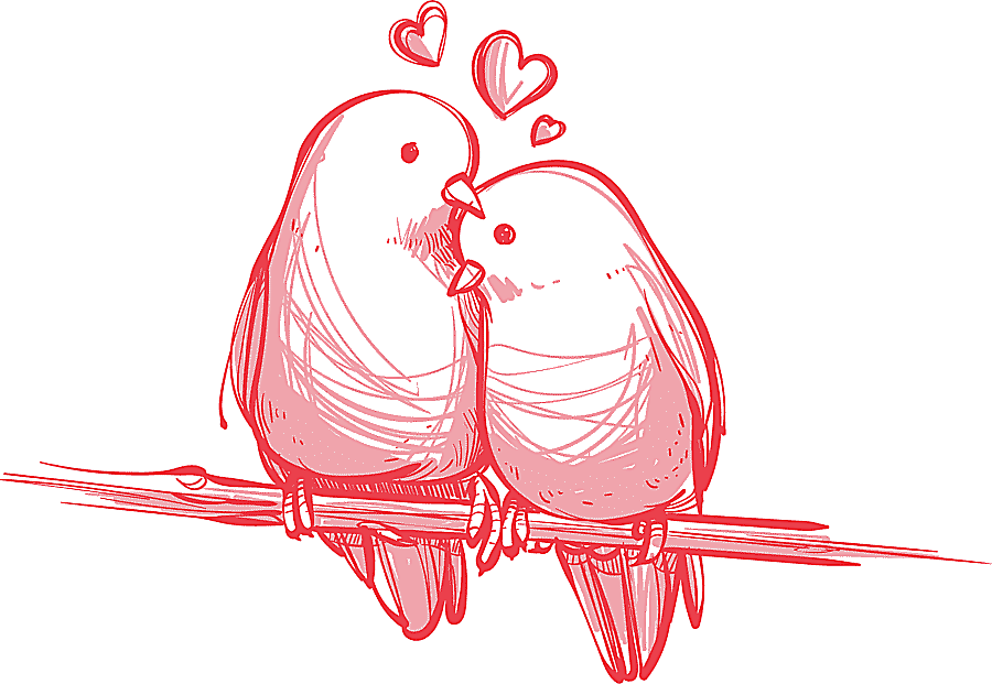 png clipart bird valentine s day wedding gift love birds hand painted two bird perched on