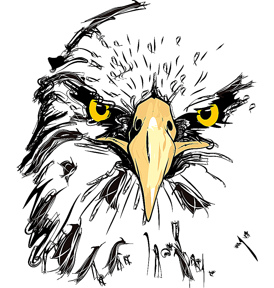 png clipart black and brown bird united states bald eagle samsung galaxy tab a 10 1 golden