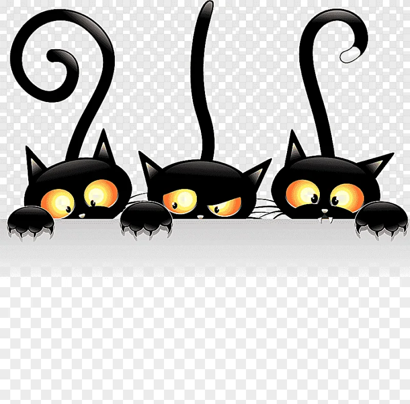 png clipart black cat drawing cartoon halloween mammal animals