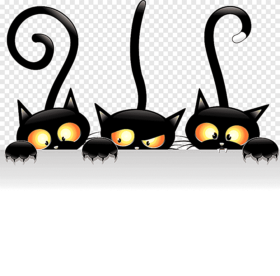 png clipart black cat drawing cartoon halloween mammal animals