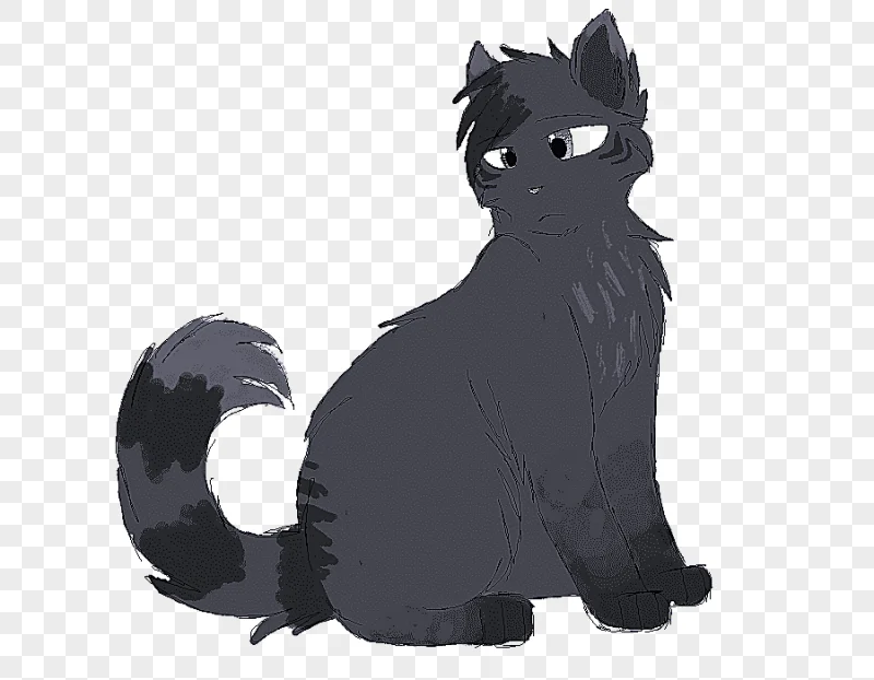 png clipart black cat kitten whiskers domestic short haired cat kitten mammal animals