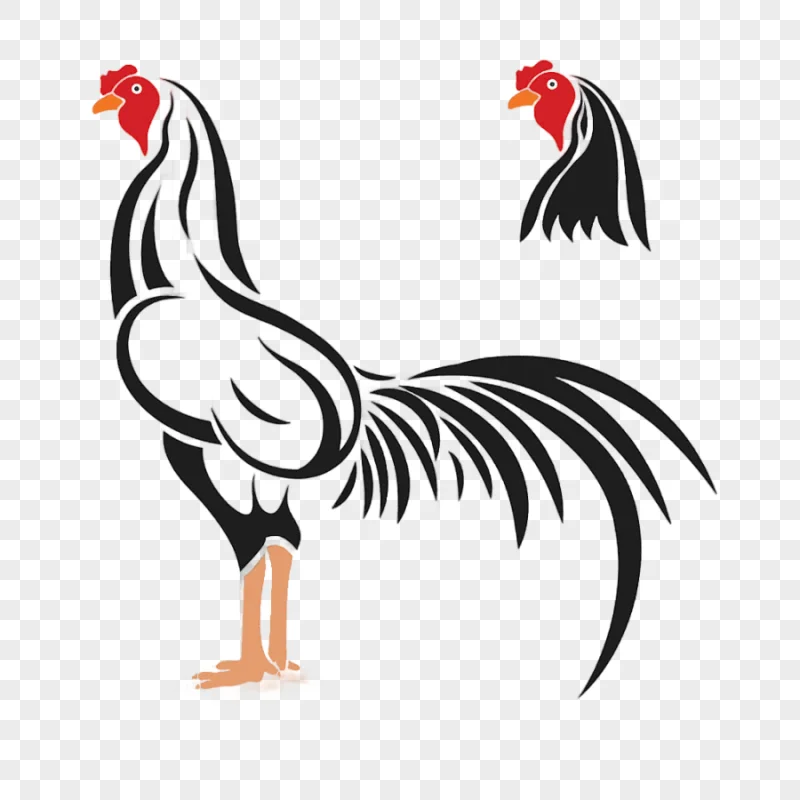 png clipart black chicken black lines cock