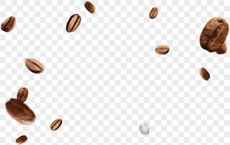 png clipart black coffee seeds illustration coffee bean coffee beans s food coffee