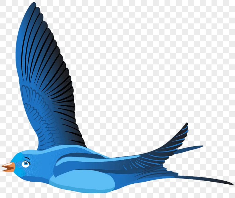 png clipart blue bird bird cartoon blue bird cartoon blue cartoons