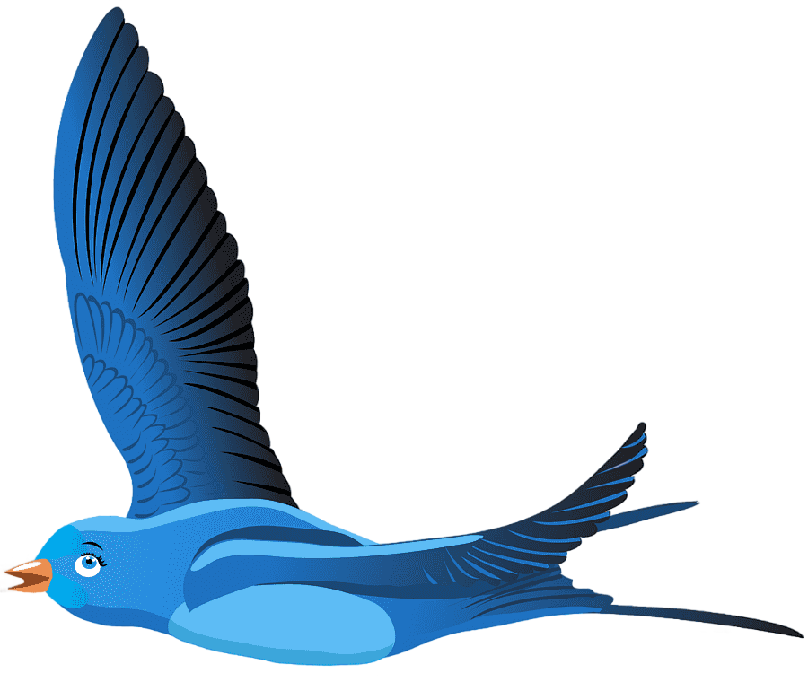 png clipart blue bird bird cartoon blue bird cartoon blue cartoons