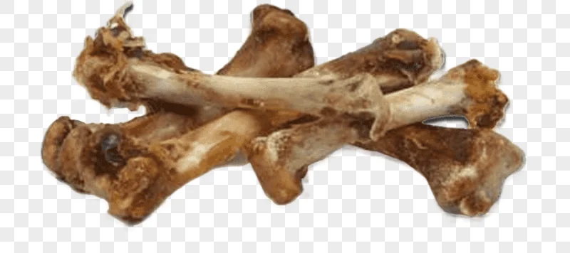 png clipart bone chicken as food roast chicken eating chicken food animals