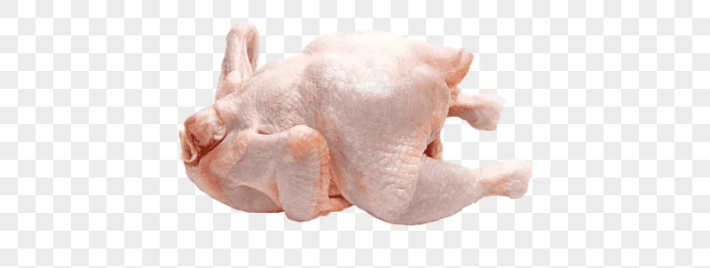 png clipart broiler chicken cobb salad meat domestic duck chicken