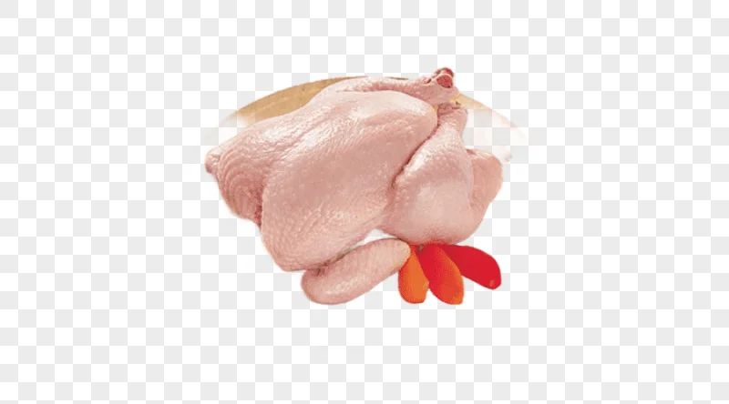 png clipart broiler chicken meat kifaranga open sandwich chicken food animals