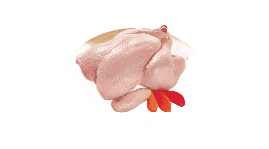 png clipart broiler chicken meat kifaranga open sandwich chicken food animals