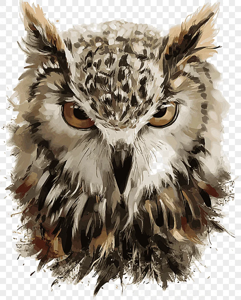 png clipart brown and black owl illustration owl drawing painting hand painted owl waterco