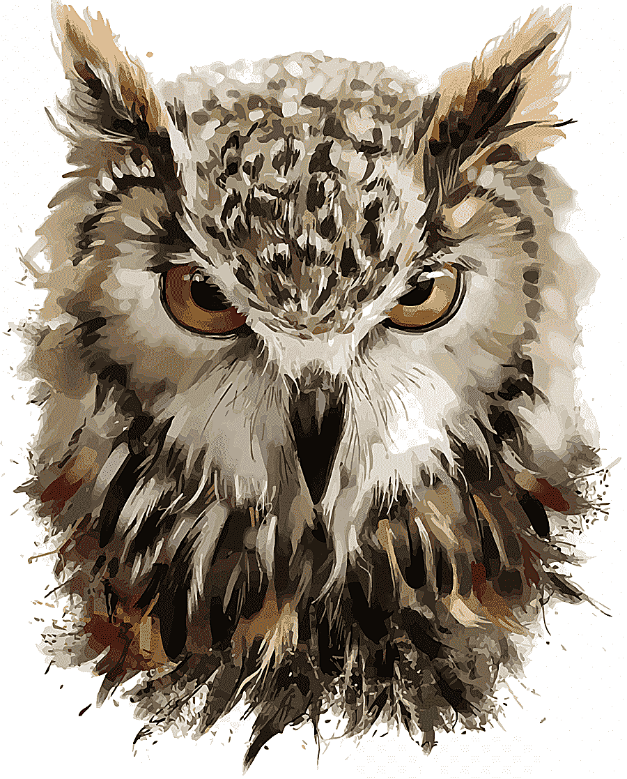 png clipart brown and black owl illustration owl drawing painting hand painted owl waterco