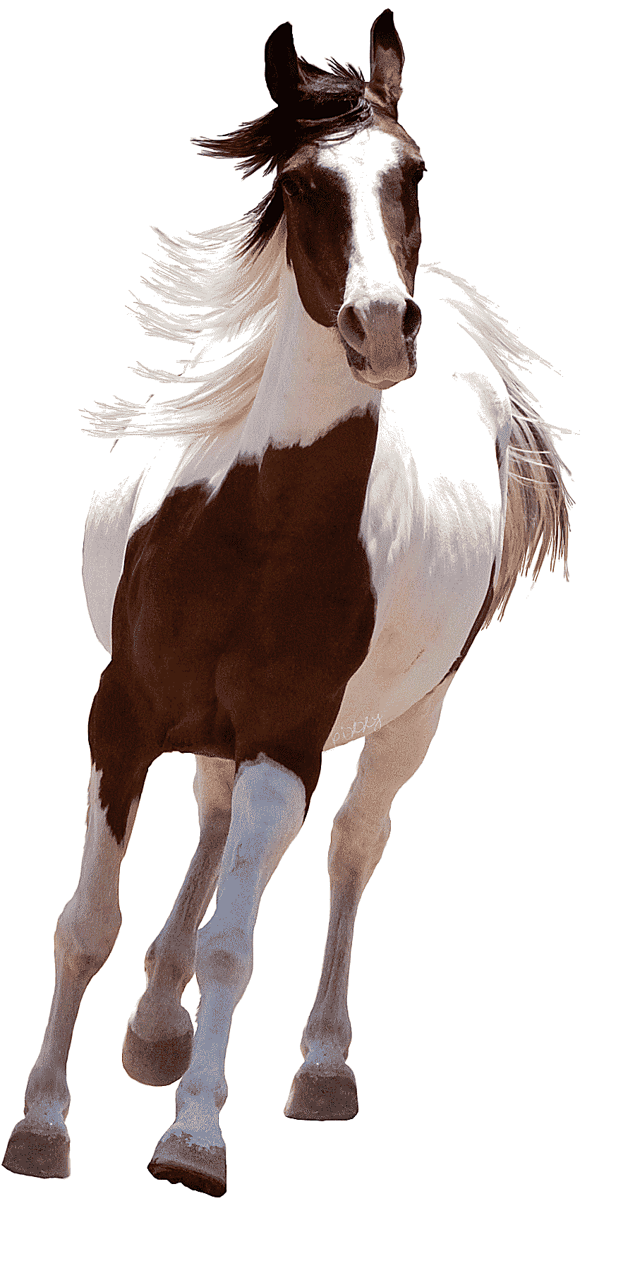 png clipart brown and white horse art arabian horse american paint horse hand painted hors