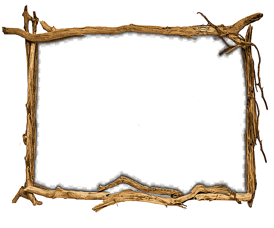 png clipart brown branch border illustration frames wood tree furniture mirror pouring ant
