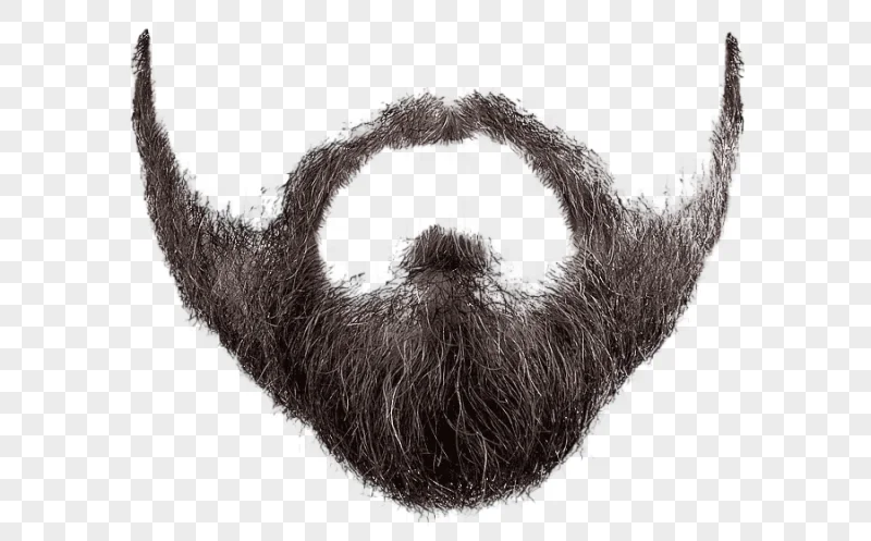 png clipart brown mustache beard beard and moustache image file formats people