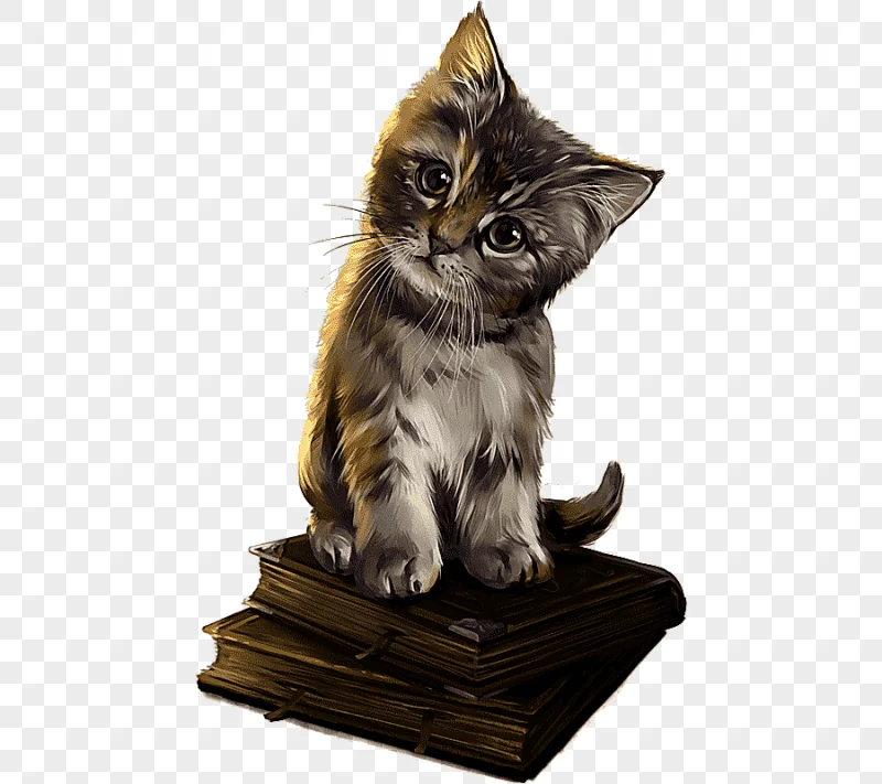 png clipart brown tabby kitten on books savannah cat magic cat academy kitten dog hallowee