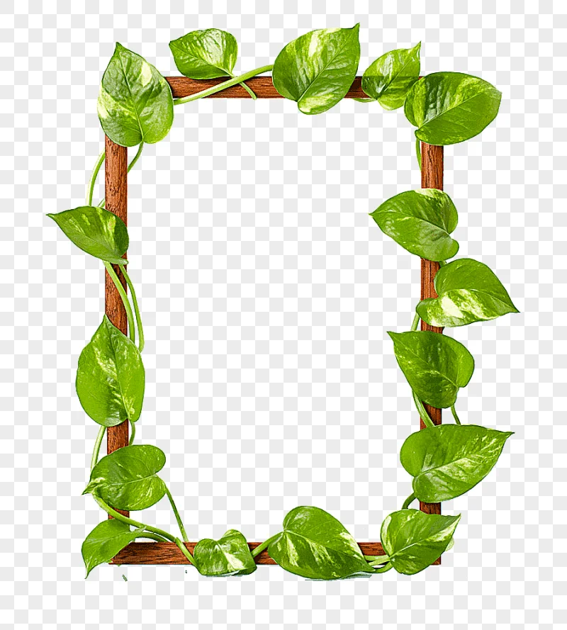 png clipart brown wooden frame green leaves frame raster graphics leaf green leaves border